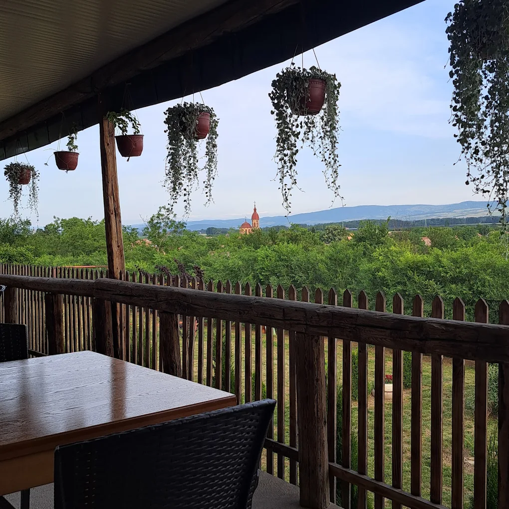 Salaš i jutarnja rosa u Banatskom Raju