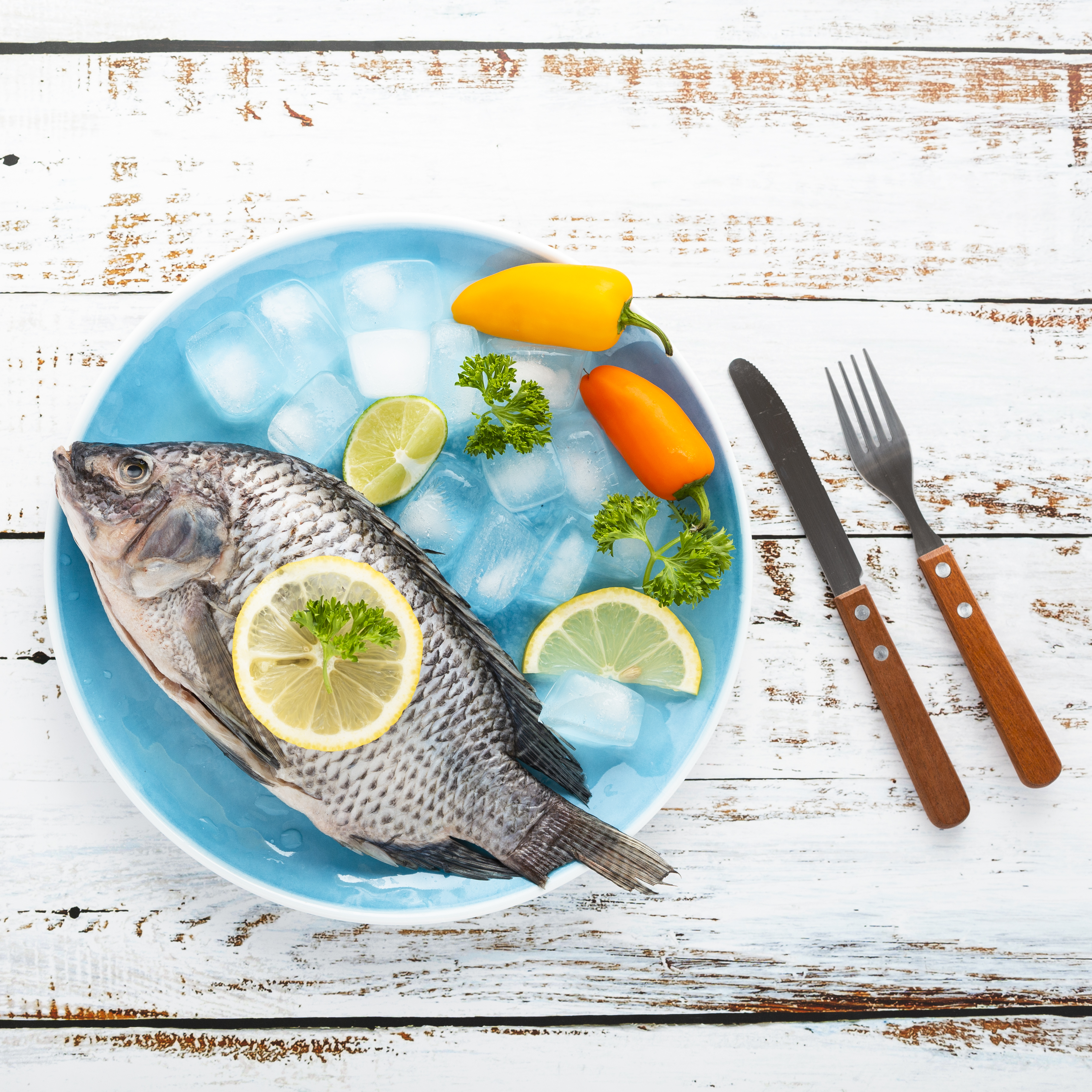 Otoke - Ribarnica u Futogu